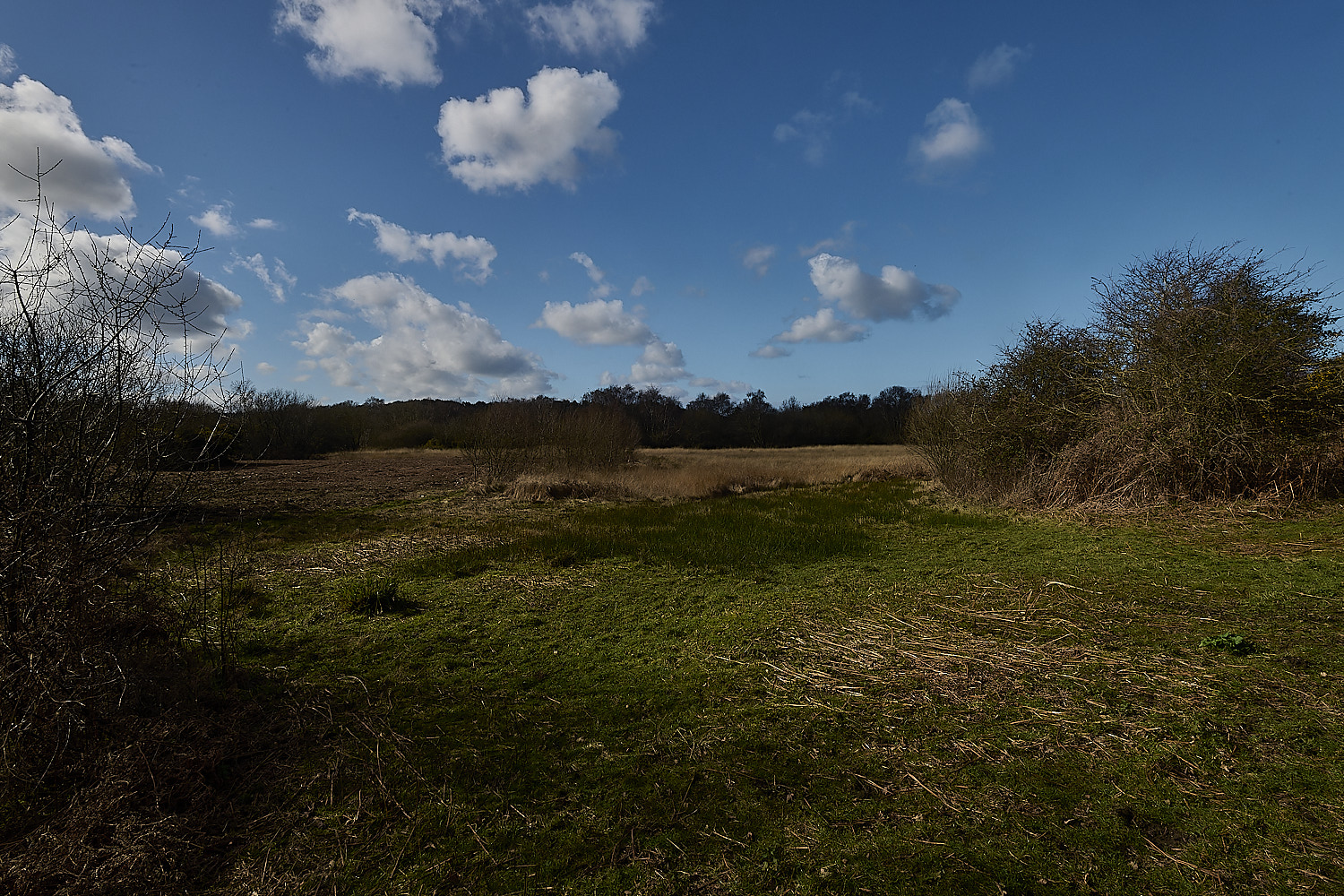 BeestonCommon1103026-1