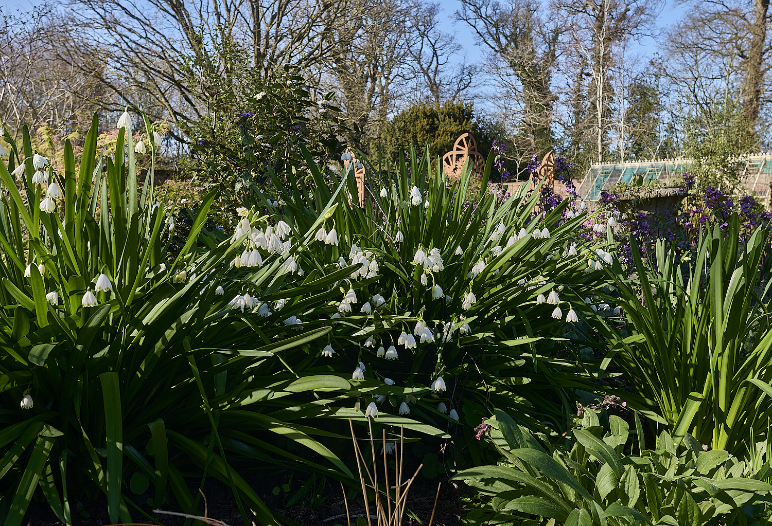 LittlePlumstead190326-2