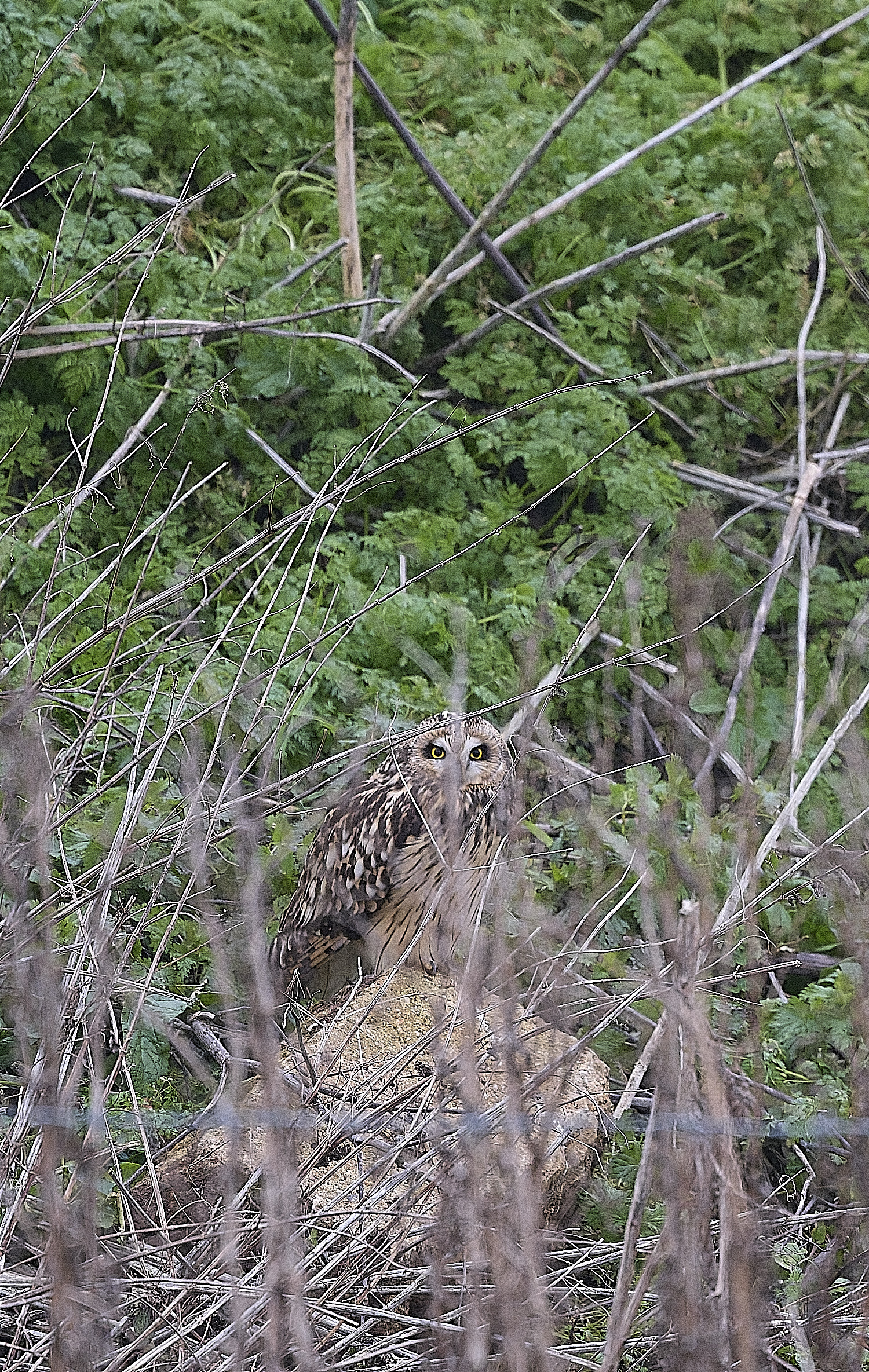 StBenet&#39;sAbbeySEO080126-1 1