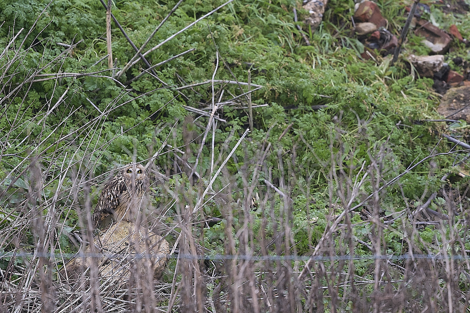 StBenet&#39;sAbbeySEO080126-1