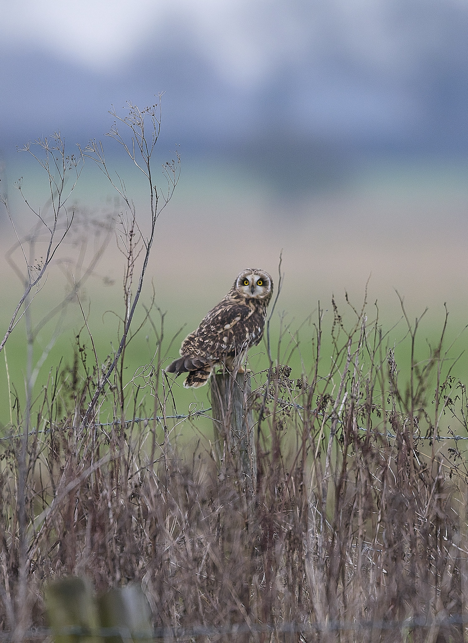 StBenet&#39;sAbbeySEO080126-2 1