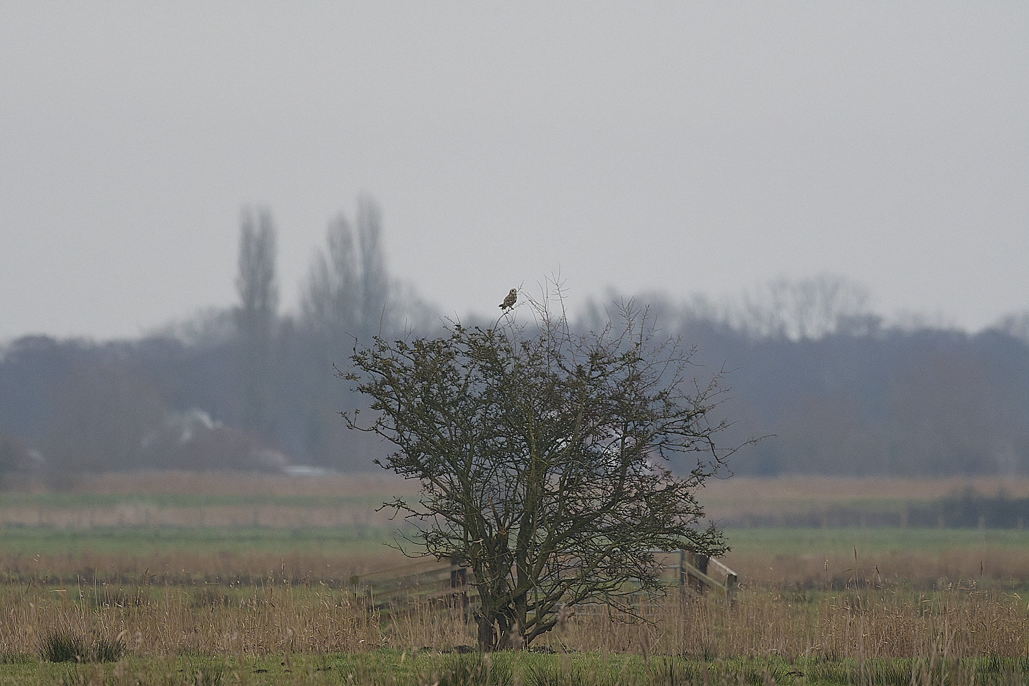 StBenet&#39;sAbbeySEO080126-3