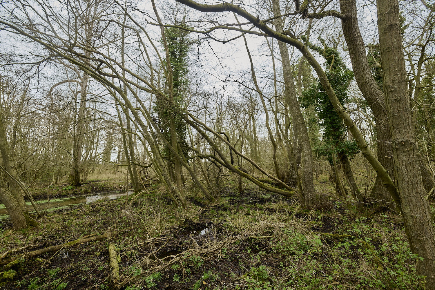 TheNarboroughs290326-10