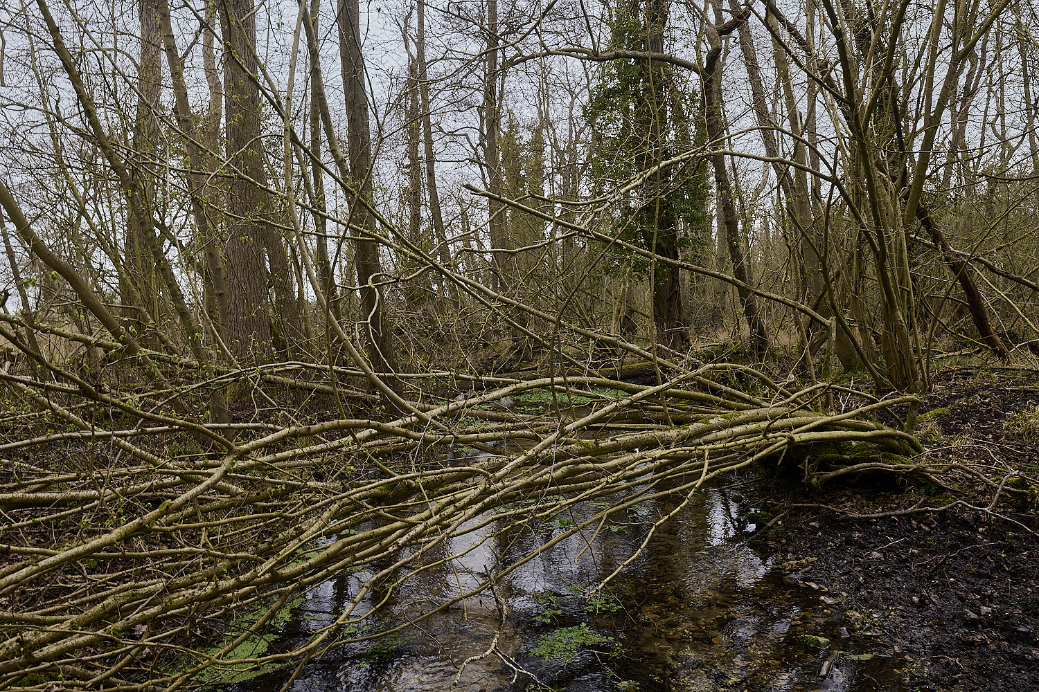 TheNarboroughs290326-13