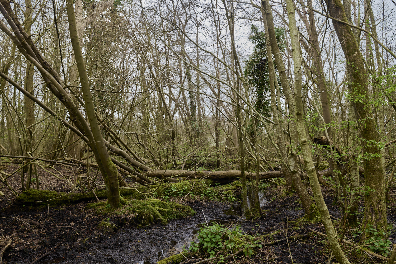 TheNarboroughs290326-14