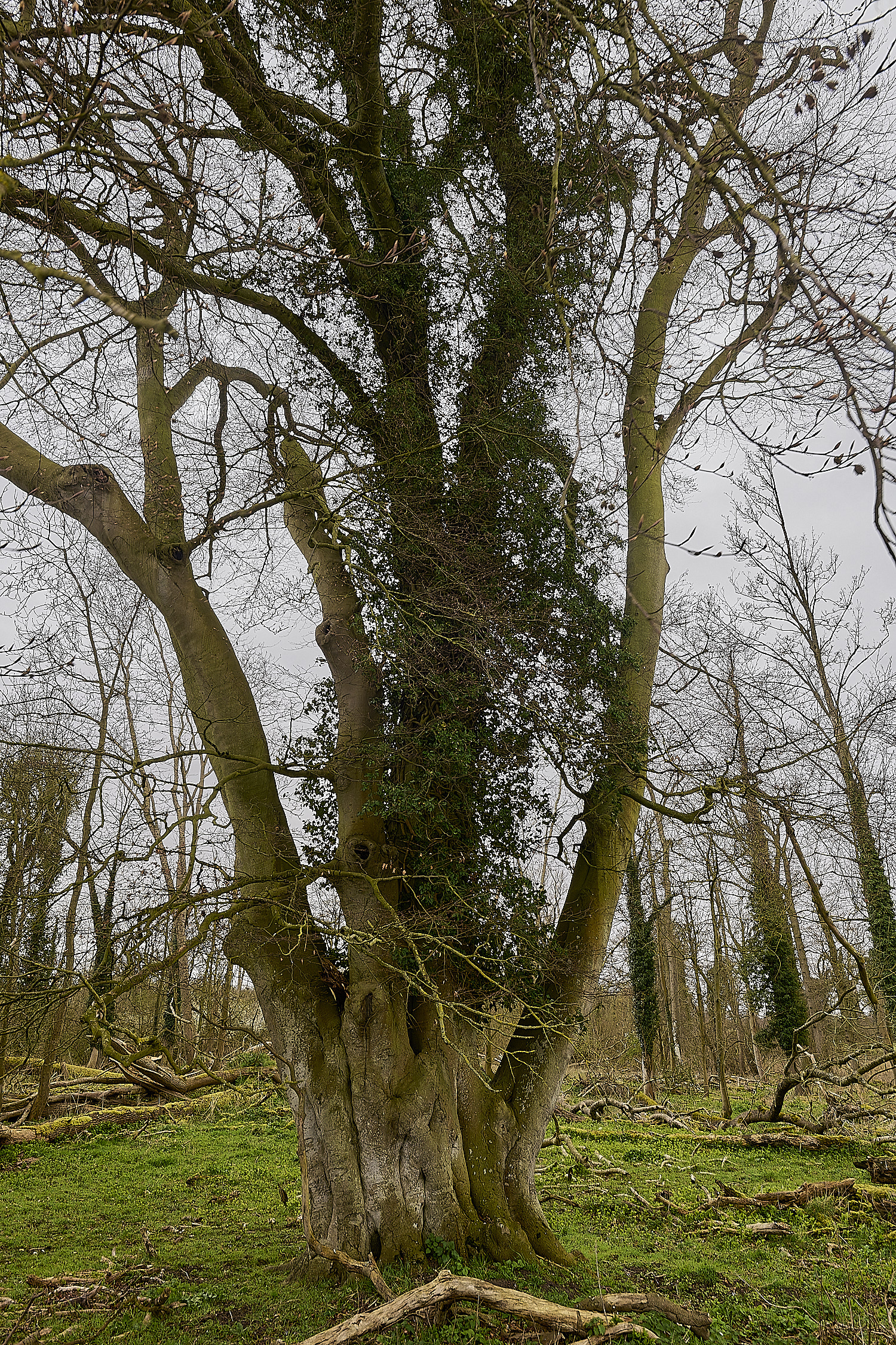 TheNarboroughs290326-16