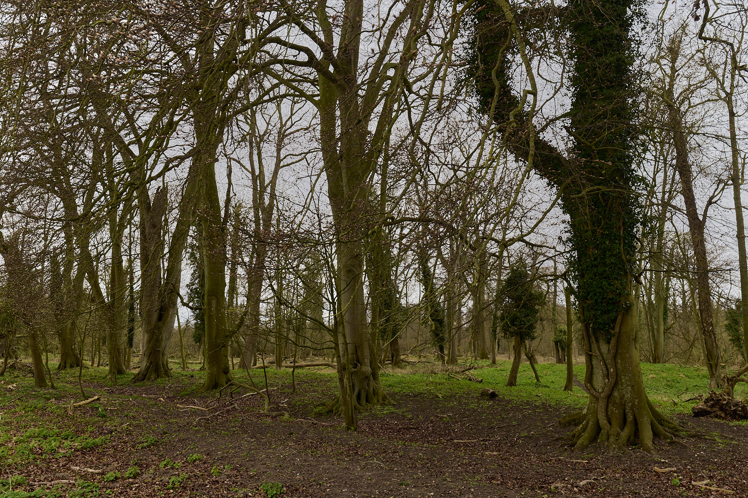 TheNarboroughs290326-17