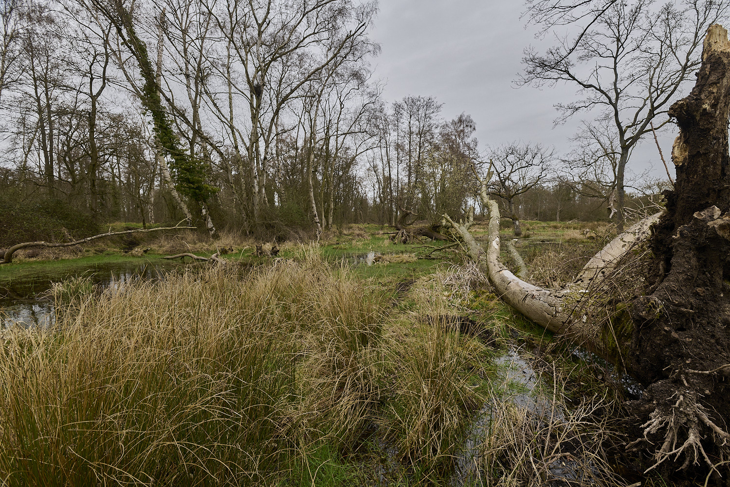 TheNarboroughs290326-9