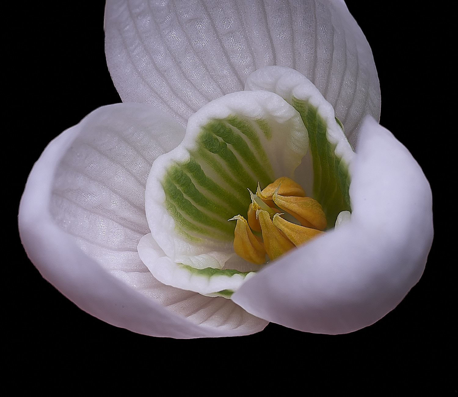 WestBeckhamGByfieldsSpecial250126-3