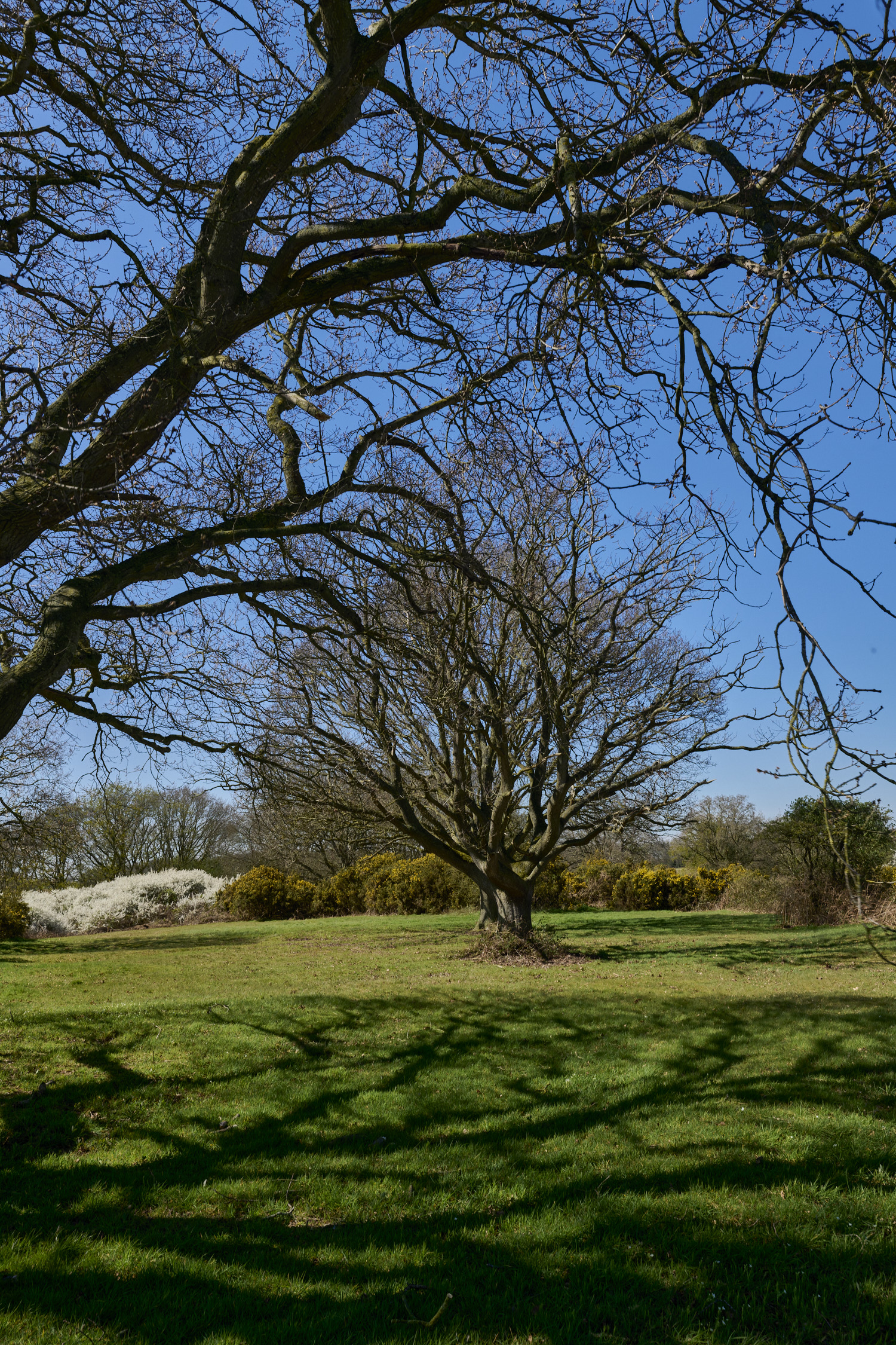AbelHeath070426-4