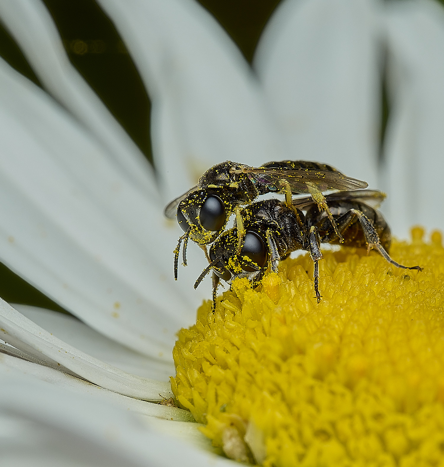 BartonBroadWasoSp280526-2