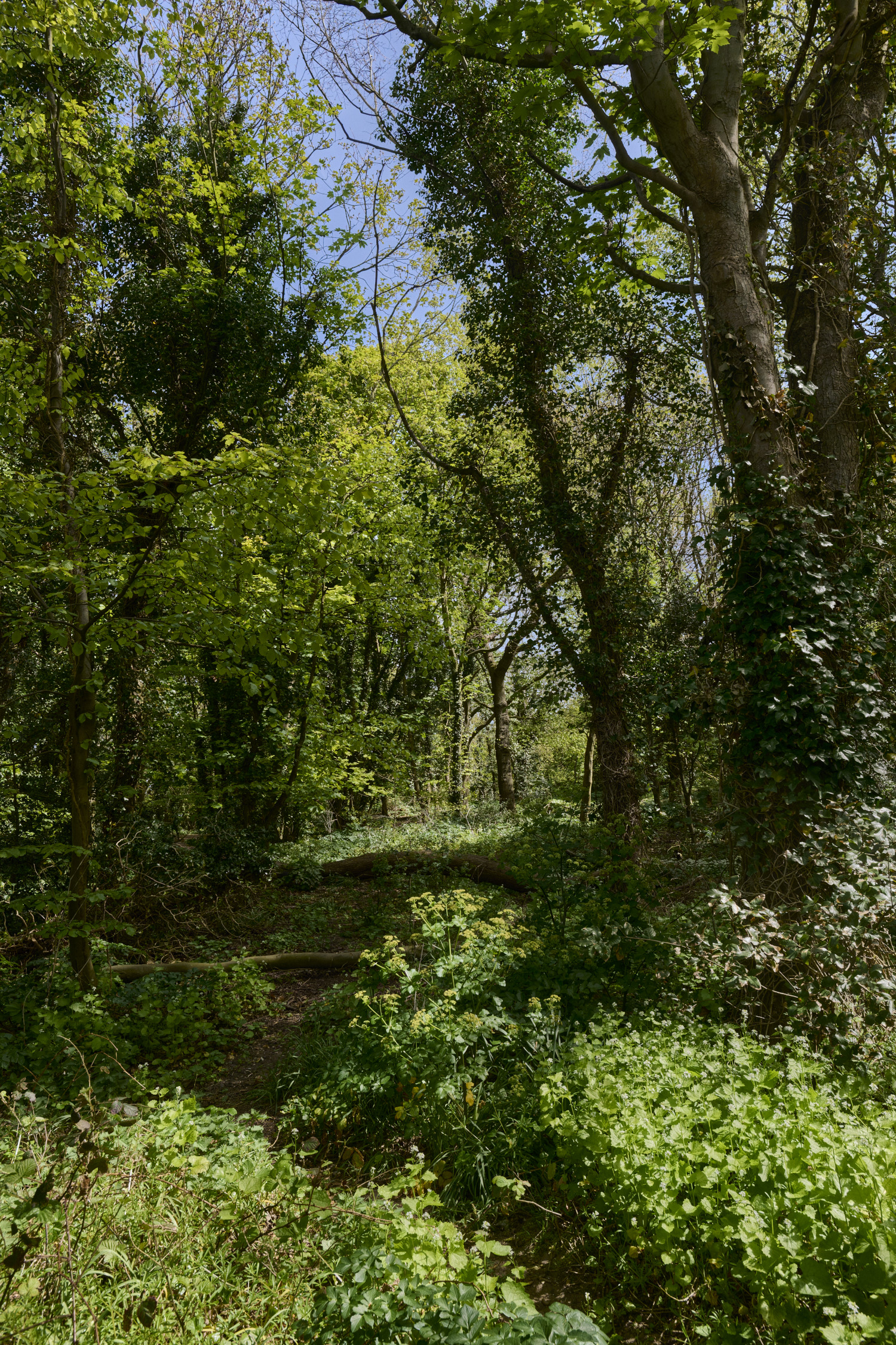 Cromer260426-2