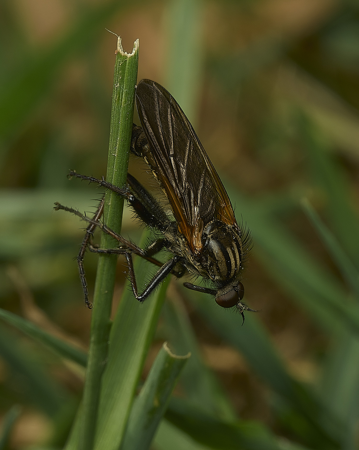 HanworthEmpis090526-3