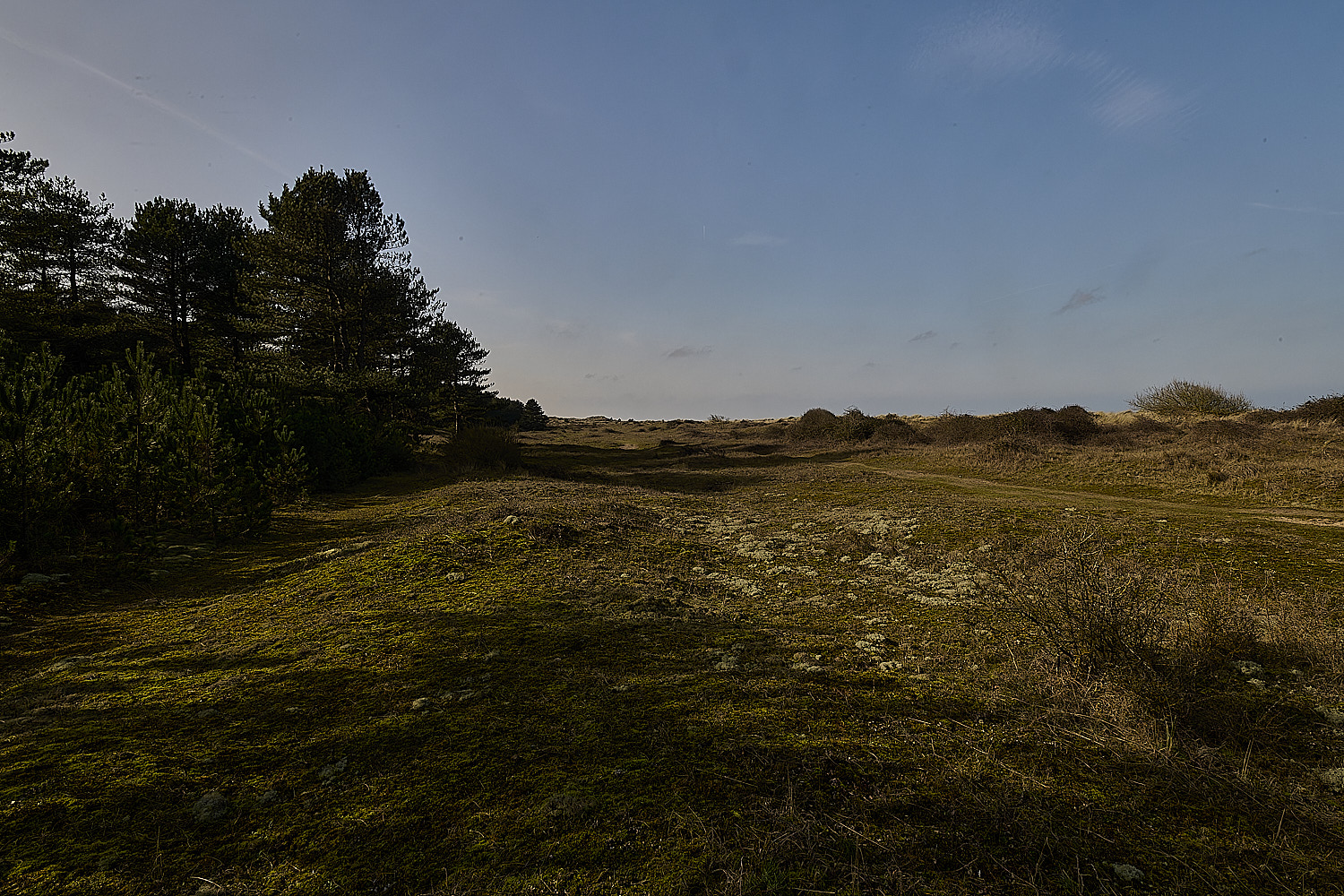 Holkham250226-2