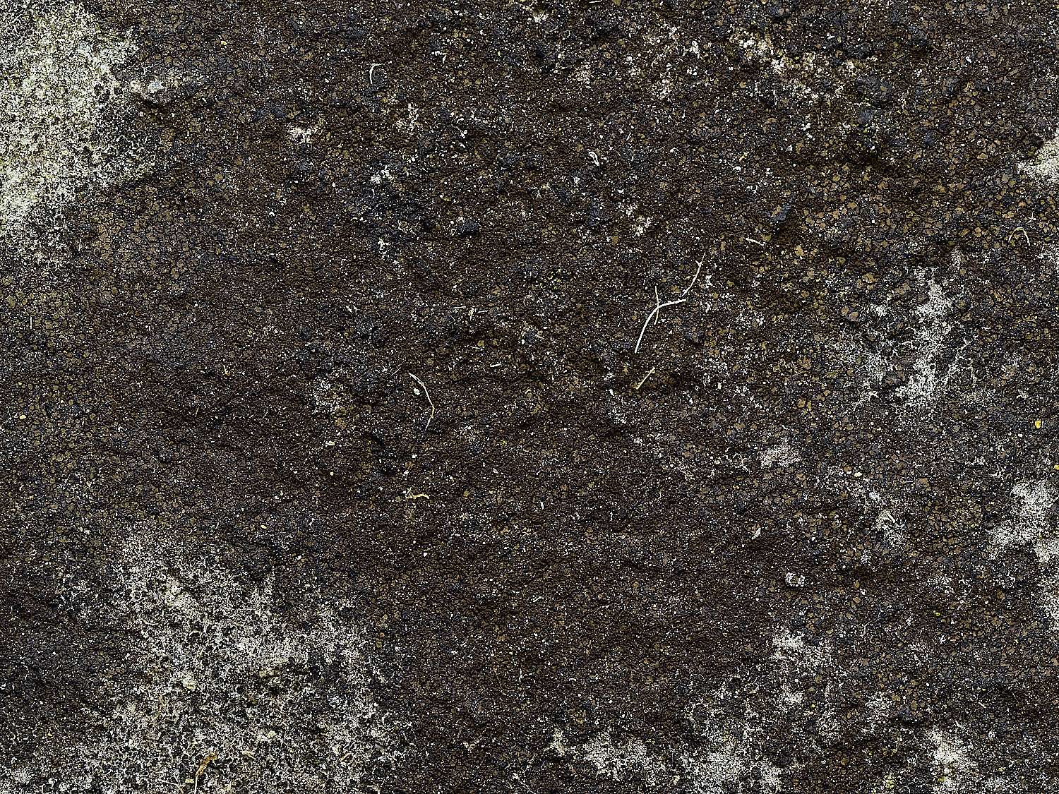 ItteringhamLichen7180426-1