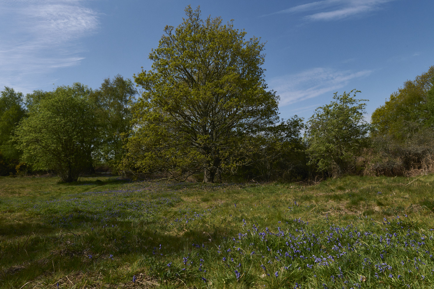 KellingHeath270426--1