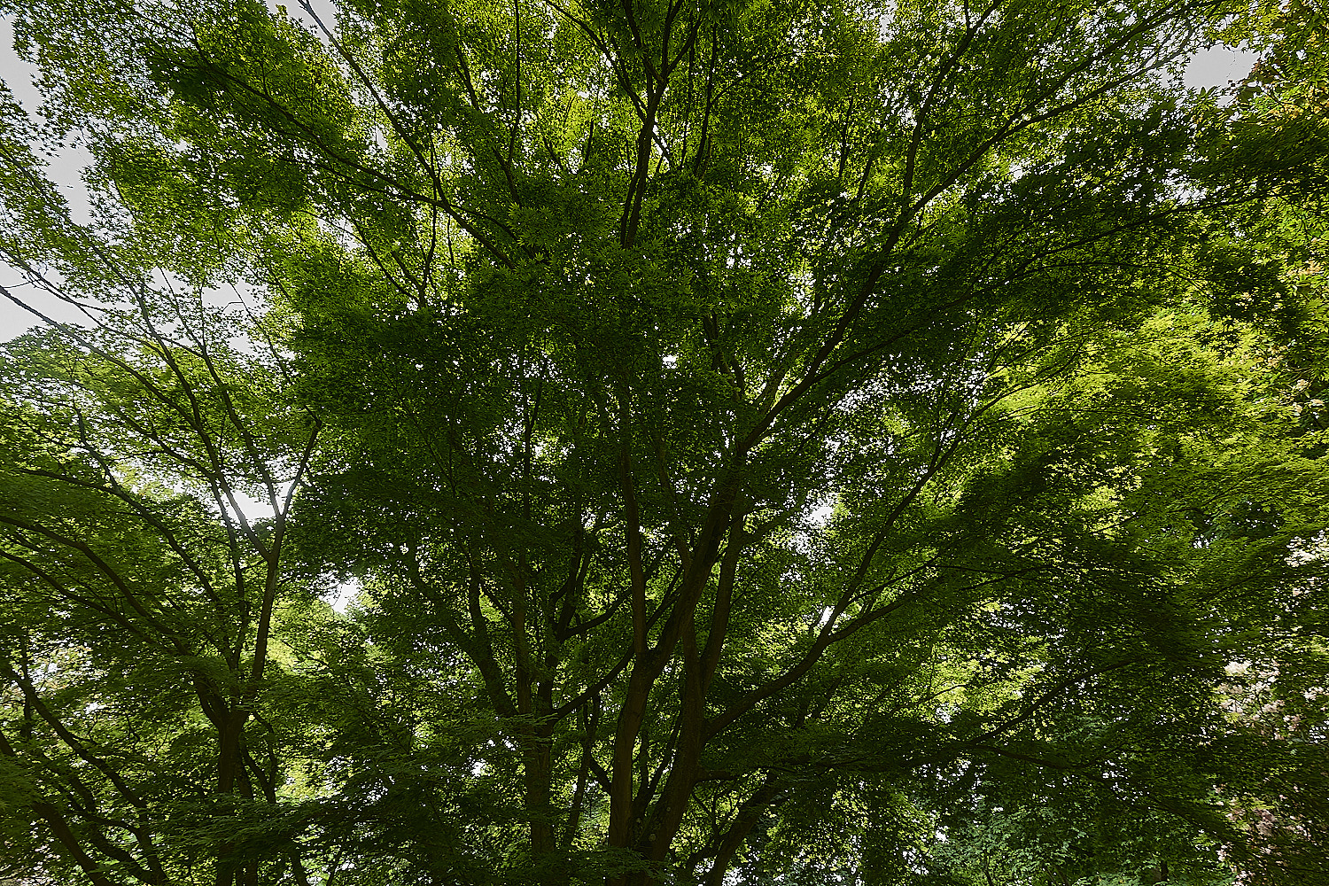 SheringhamPark290526-1