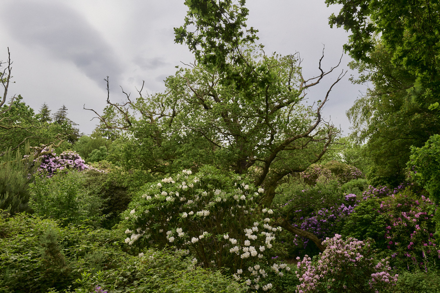 SheringhamPark290526-4