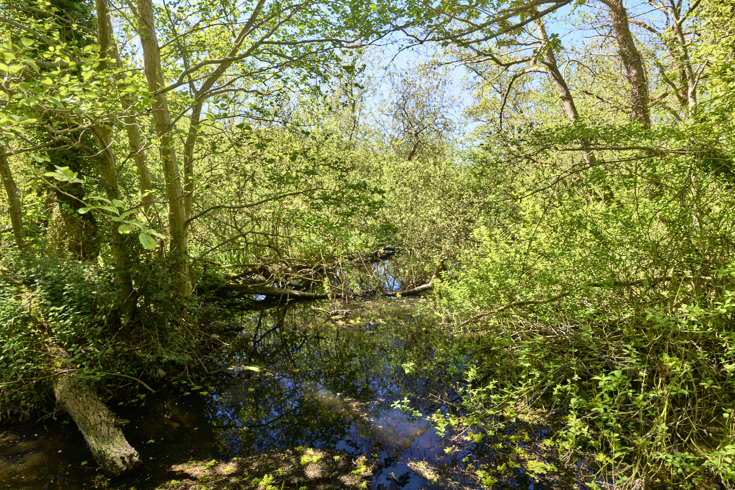 SotsholeBroad300426-2 1