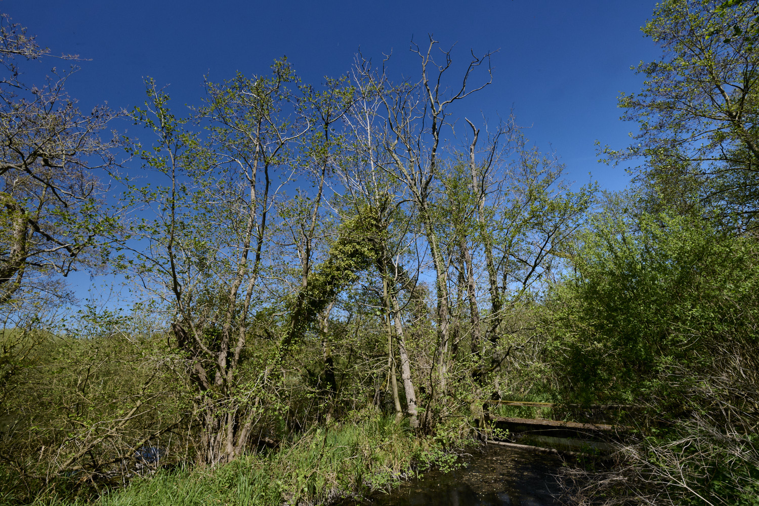SotsholeBroad300426-4