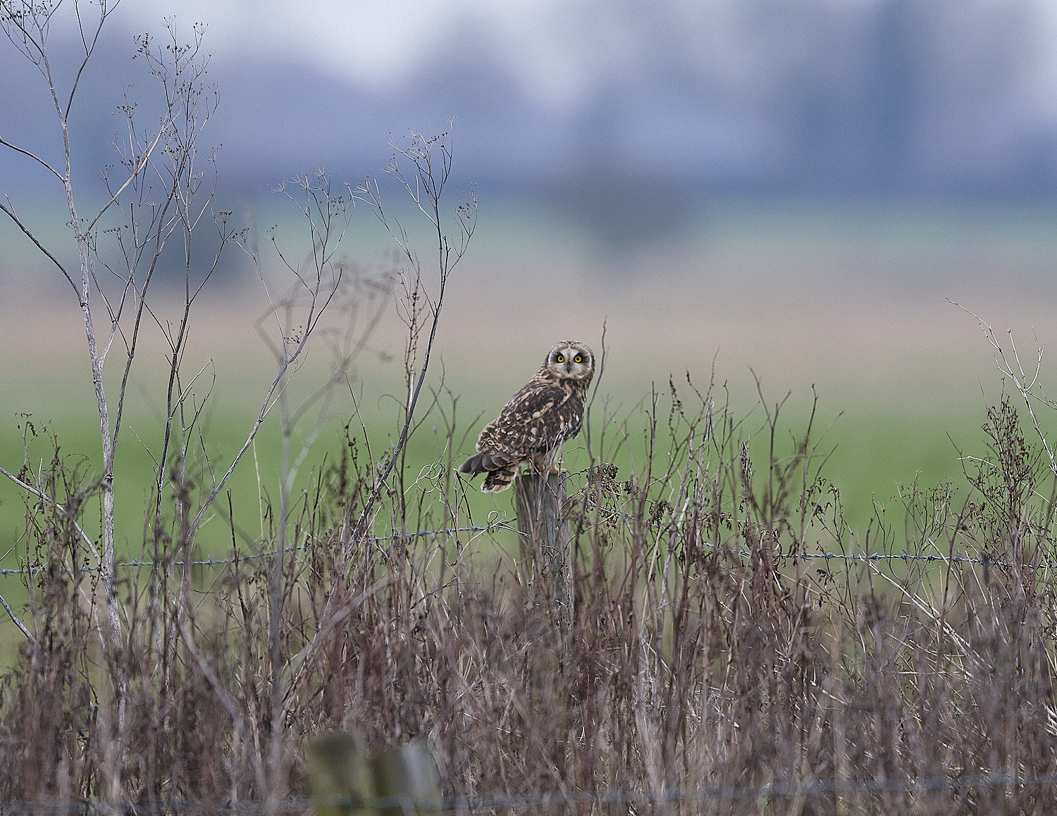 StBenet&#39;sAbbeySEO080126-2