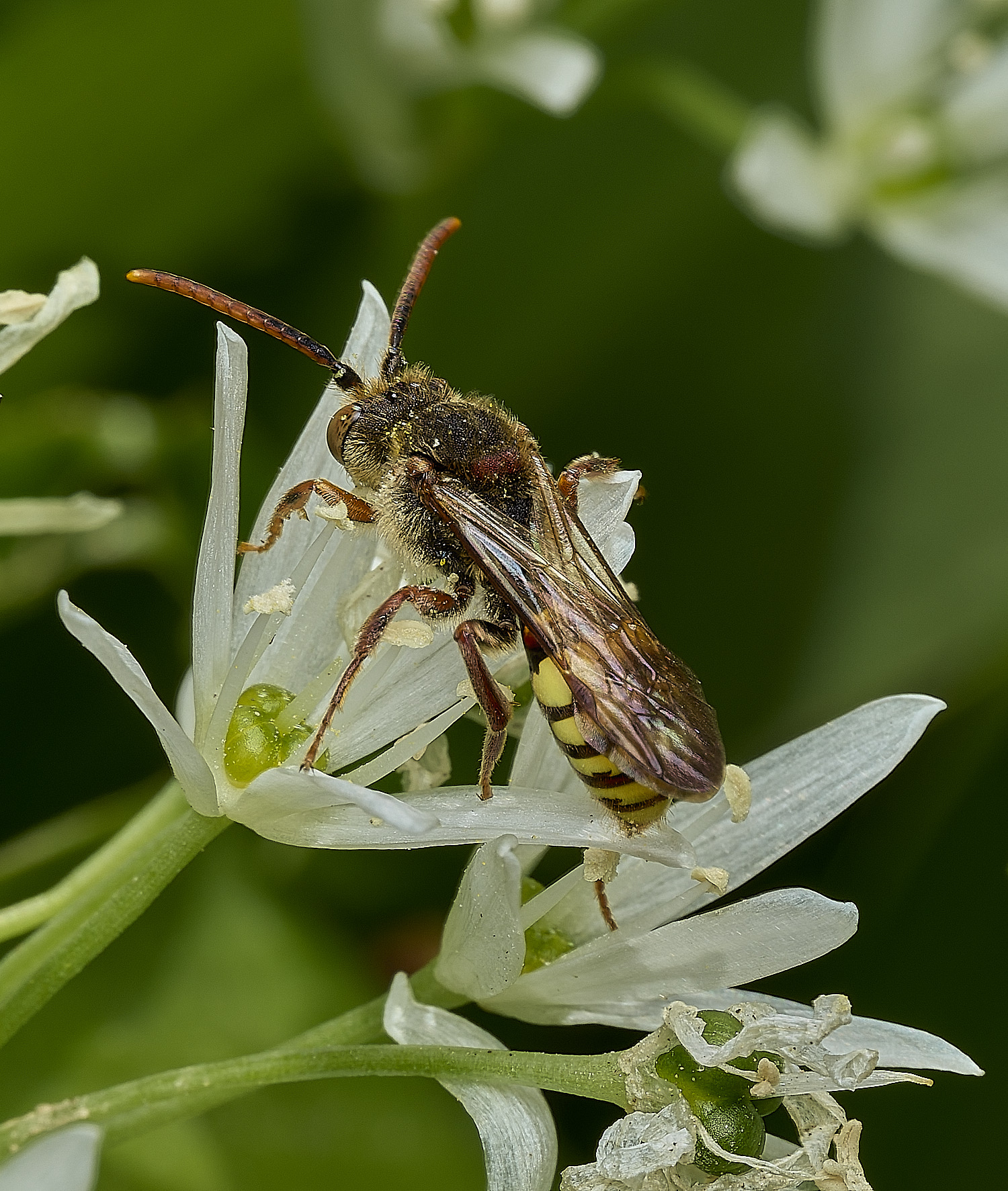 SusteadNomada220426-2