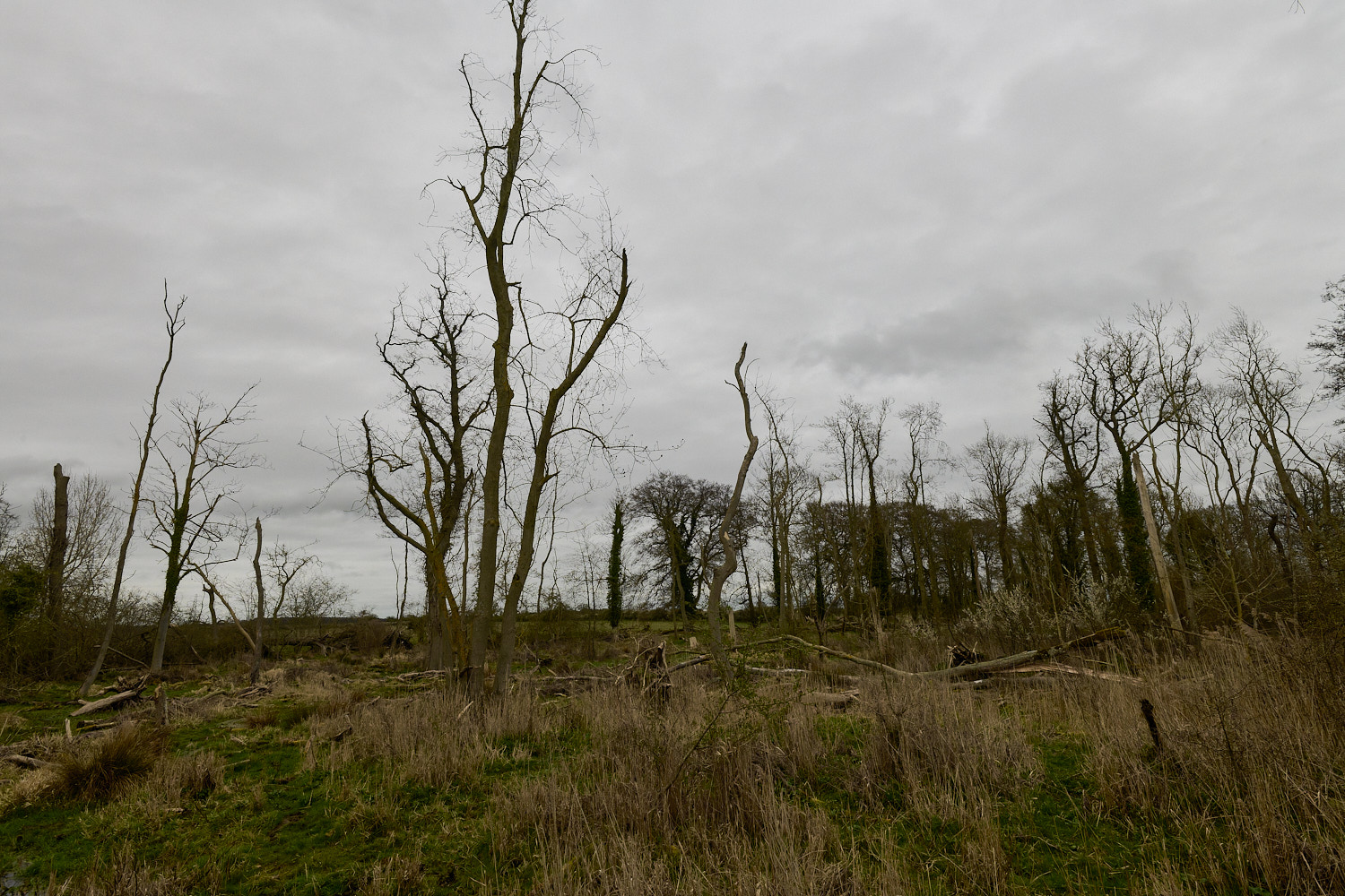 TheNarboroughs290326-15