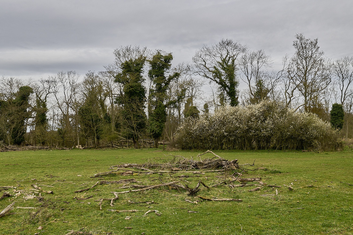 TheNarboroughs290326-2 1