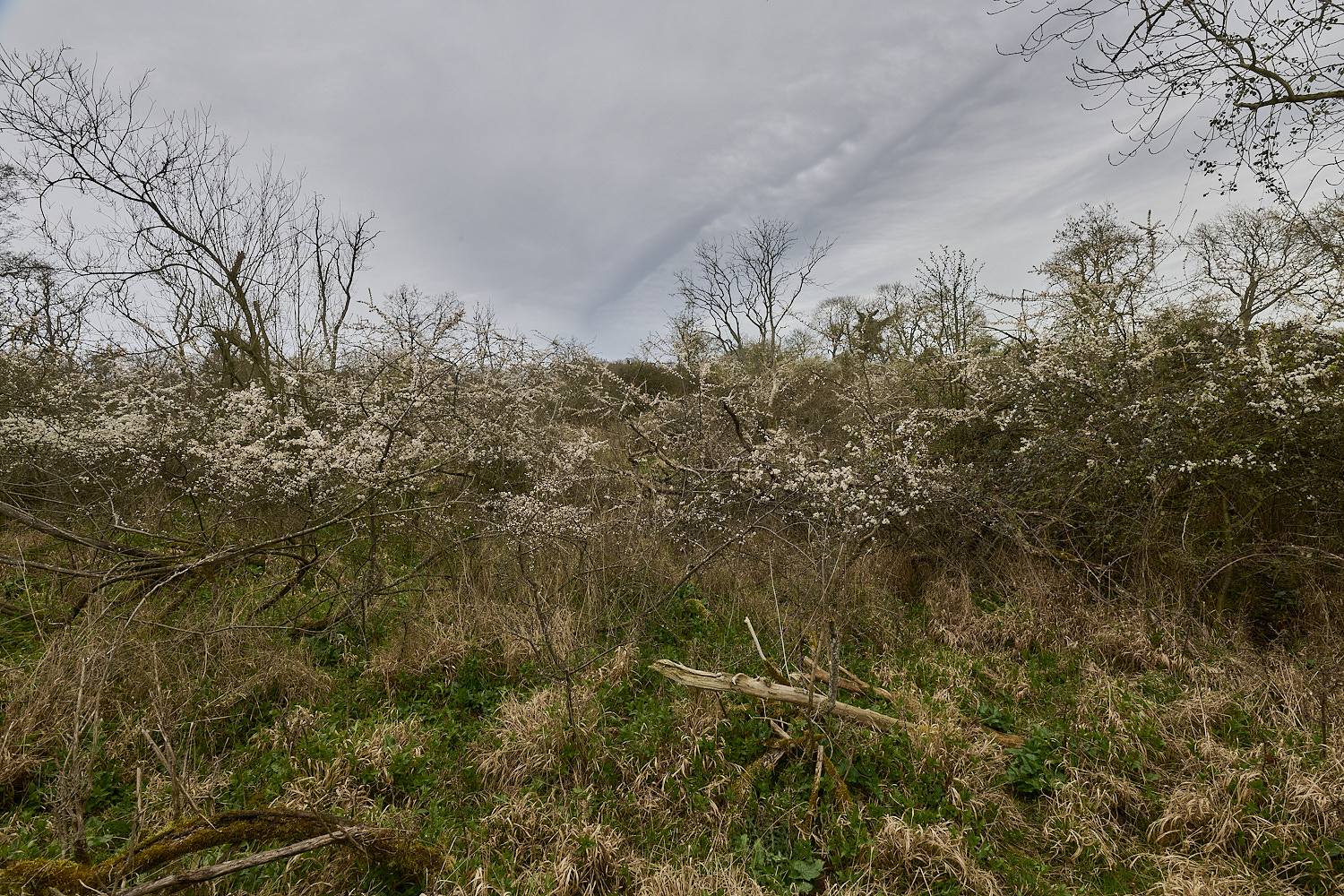 TheNarboroughs290326-5