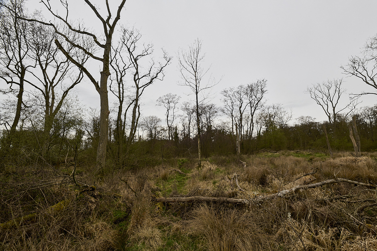 TheNarboroughs290326-7