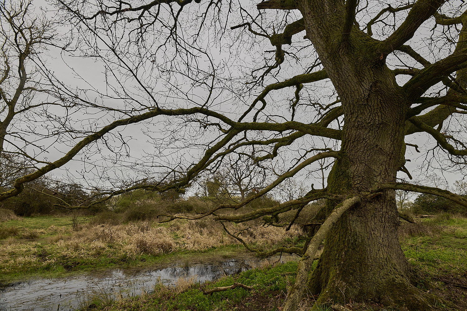 TheNarboroughs290326-8