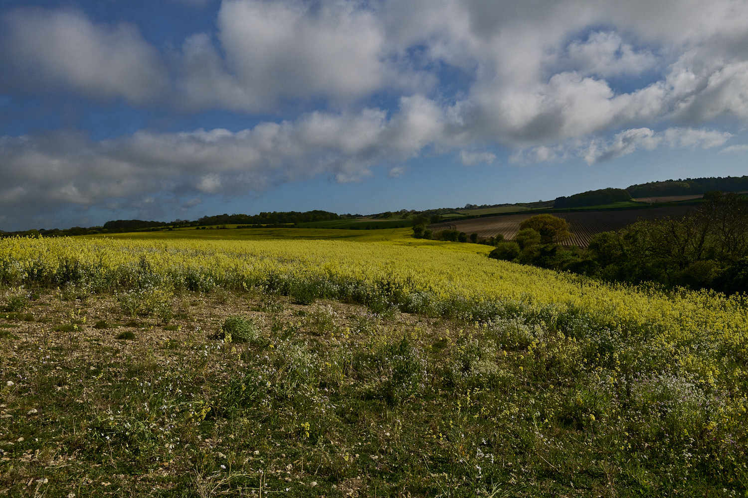 WalseyHills220426-1