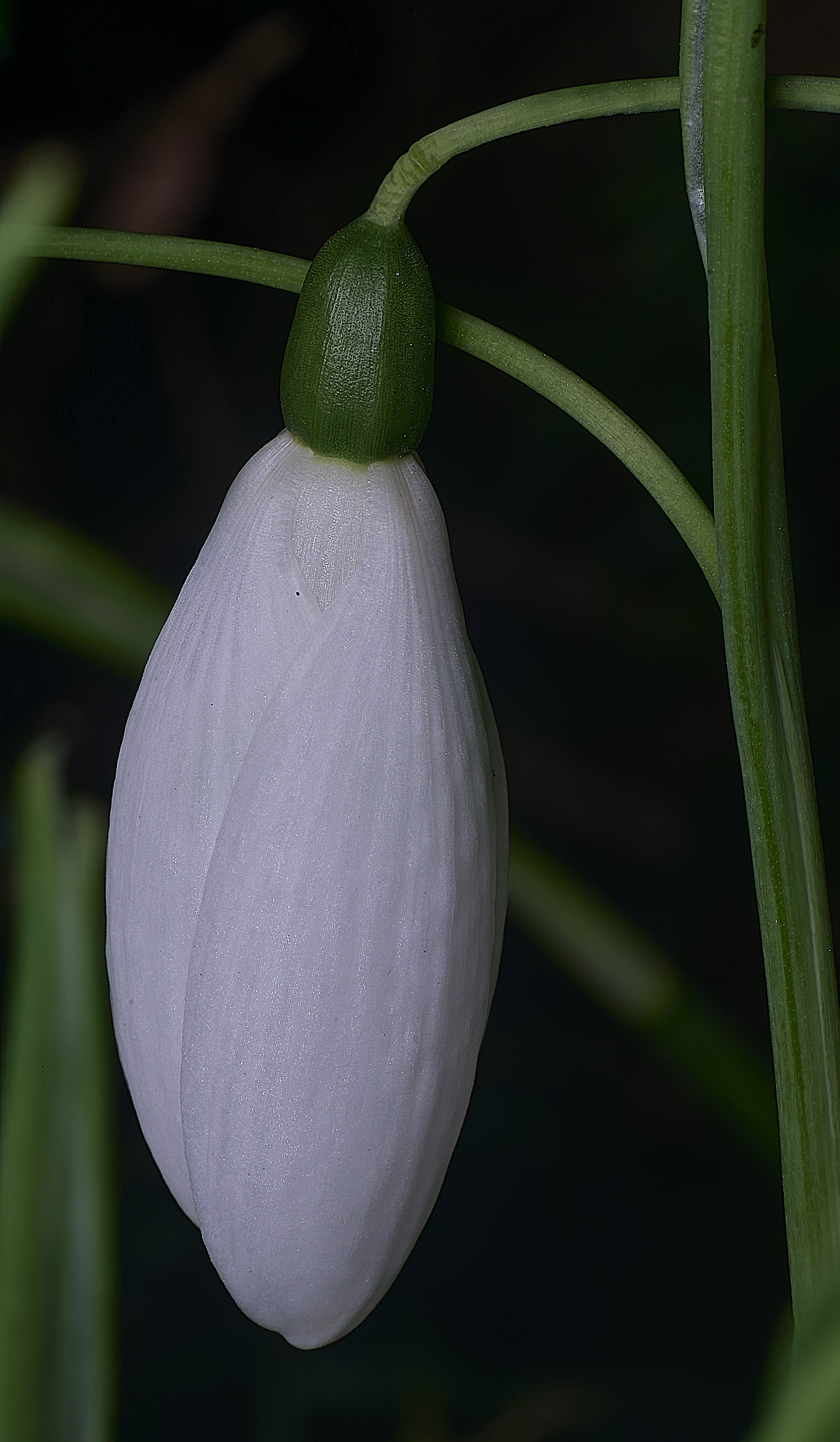 WestBeckhamGFlyFishing250126-3